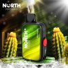 North FT12000 15ML 12000 Puffs Disposable - Cactus Jack