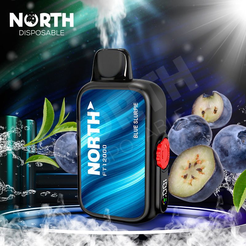 North FT12000 15ML 12000 Puffs Disposable - Blue Slurpie