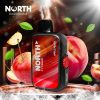 North FT12000 15ML 12000 Puffs Disposable - Apple Peach