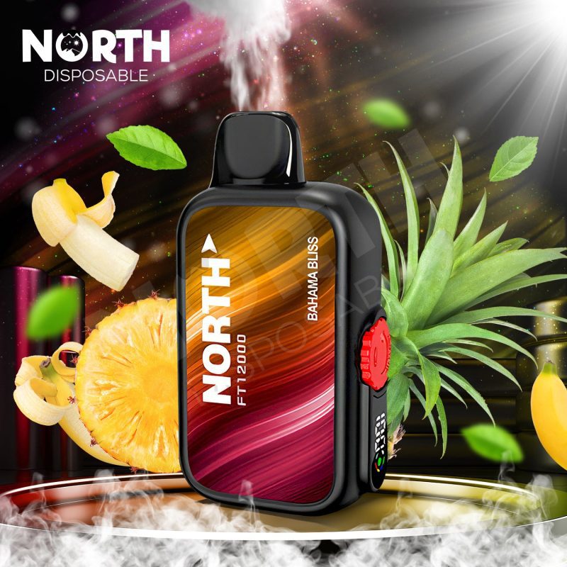 North FT12000 15ML 12000 Puffs Disposable - Bahama Bliss