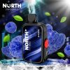 North FT12000 15ML 12000 Puffs Disposable - Blue Razz