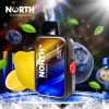 North FT12000 15ML 12000 Puffs Disposable - Blueberry Lemon