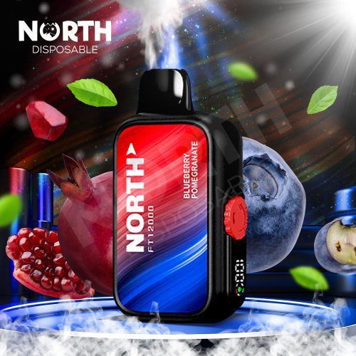 North FT12000 15ML 12000 Puffs Disposable - Blueberry Pomegranate