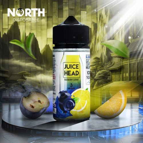 Juice Head E-Liquid 100ML - Blueberry Lemon 