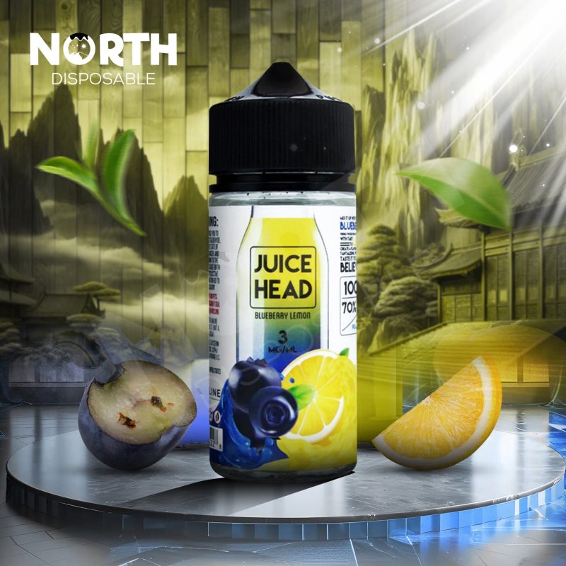 Juice Head E-Liquid 100ML - Blueberry Lemon