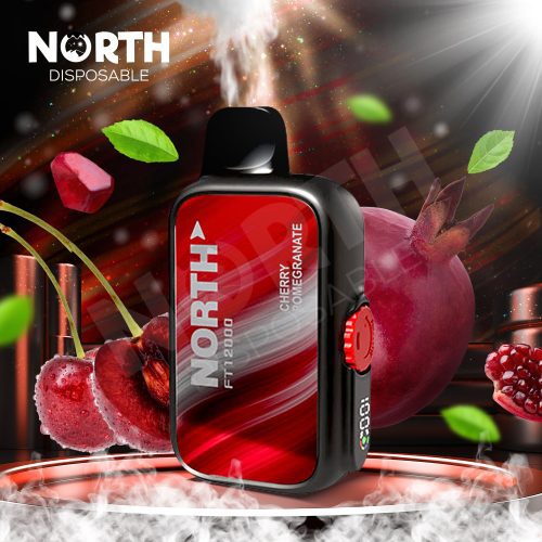 North FT12000 15ML 12000 Puffs Disposable - Cherry Pomegranate