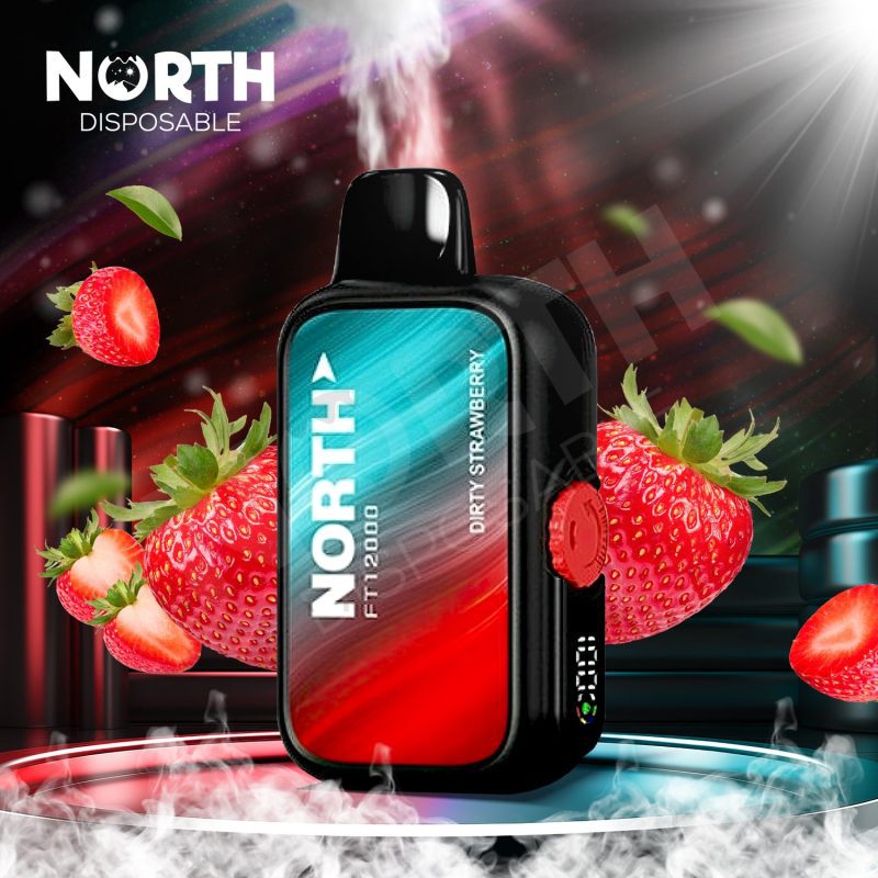 North FT12000 15ML 12000 Puffs Disposable - Dirty Strawberry