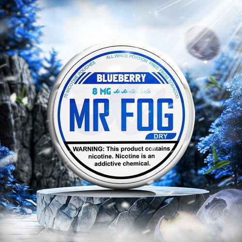 MR FOG NICOTINE POUCHES 8MG - Dry Blueberry