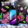 North FT12000 15ML 12000 Puffs Disposable - Frozen Grape