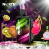 North FT12000 15ML 12000 Puffs Disposable - Kiwi Dragon Fruit