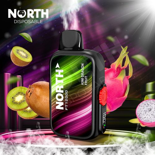 North FT12000 15ML 12000 Puffs Disposable - Kiwi Dragon Fruit