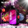 North FT12000 15ML 12000 Puffs Disposable - Love Story