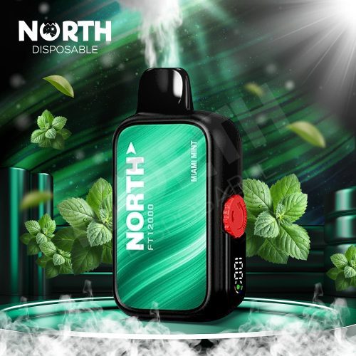 North FT12000 15ML 12000 Puffs Disposable - Miami Mint