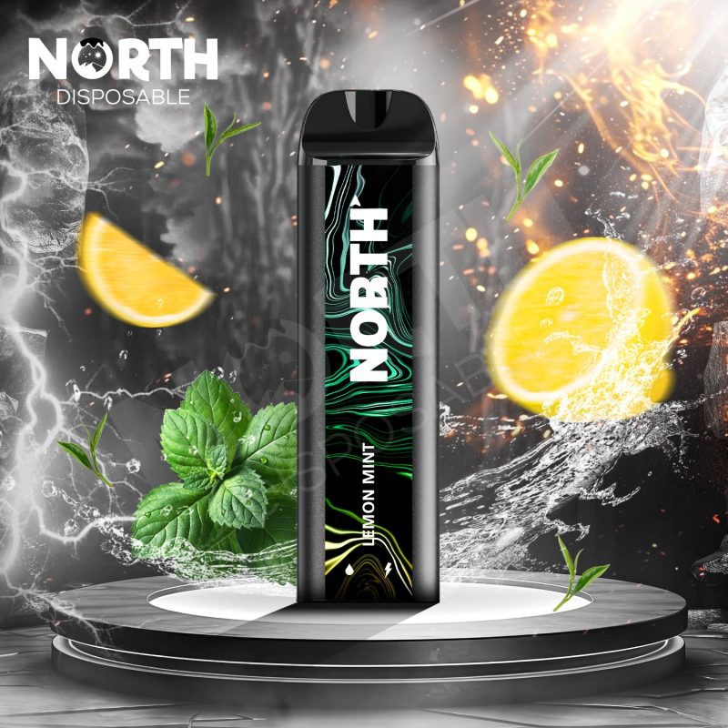 North5000DisposableLemonmint