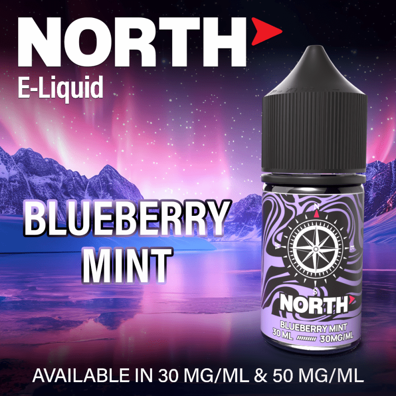 North Eliquid Flavor Image blueberry mint Camera