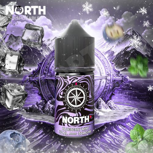 North Nicotine Salt E-Liquid 30ML - Blueberry Mint