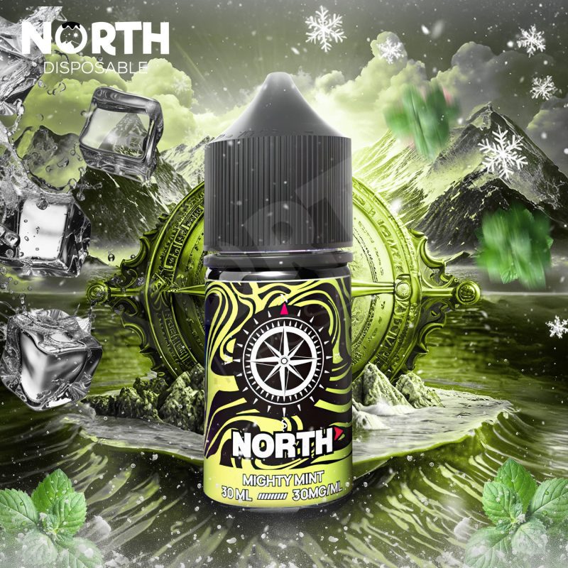 North Nicotine Salt E-Liquid 30ML - Mighty Mint