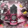 North Nicotine Salt E-Liquid 30ML - Strawberry Banana