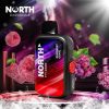 North FT12000 15ML 12000 Puffs Disposable - Raspberry Grape