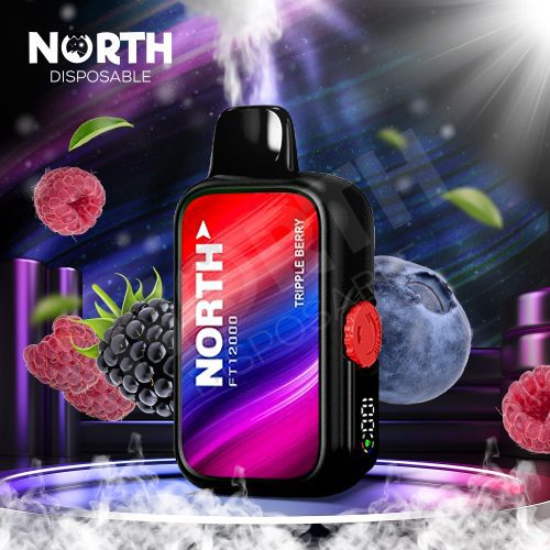 North FT12000 15ML 12000 Puffs Disposable - Triple Berry