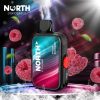 North FT12000 15ML 12000 Puffs Disposable - Frozen Raspberry