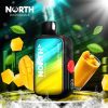 North FT12000 15ML 12000 Puffs Disposable - Mango Slushie