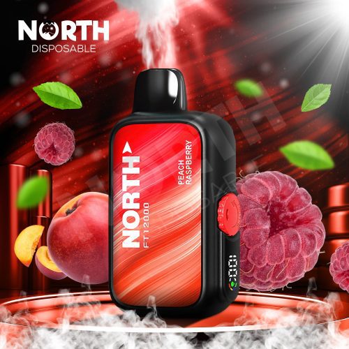 North FT12000 15ML 12000 Puffs Disposable - Peach Raspberry