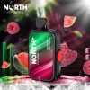 North FT12000 15ML 12000 Puffs Disposable - Raspberry Watermelon