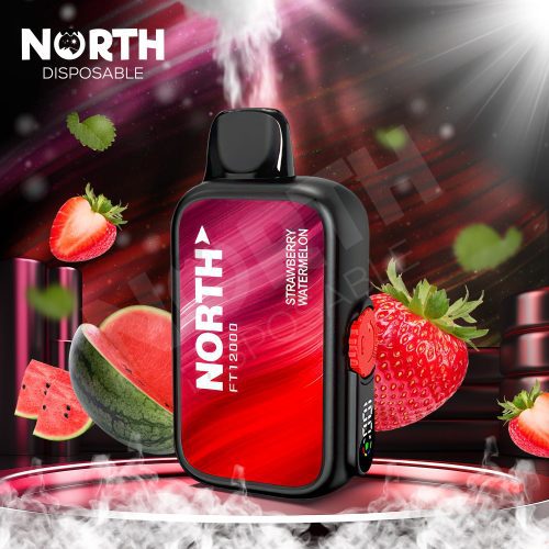 North FT12000 15ML 12000 Puffs Disposable - Strawberry Watermelon