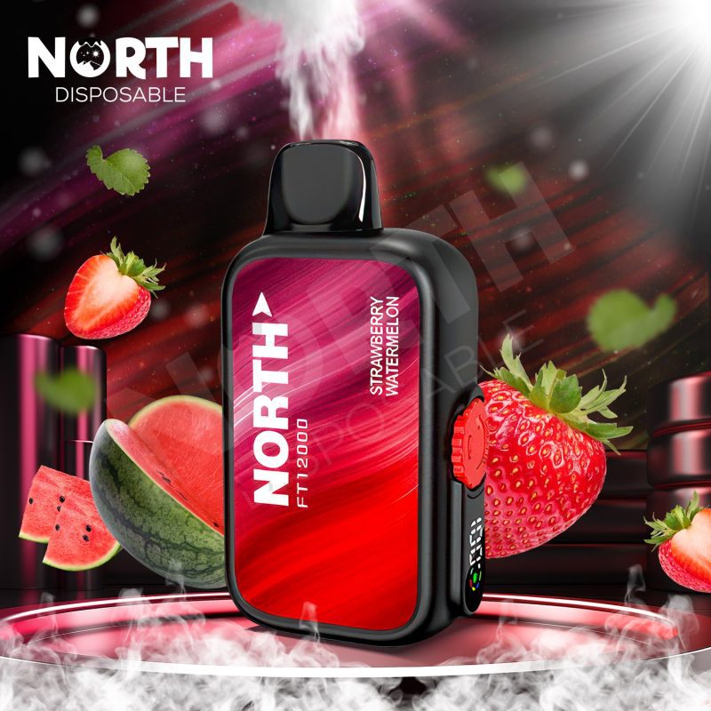 North FT12000 15ML 12000 Puffs Disposable - Strawberry Watermelon